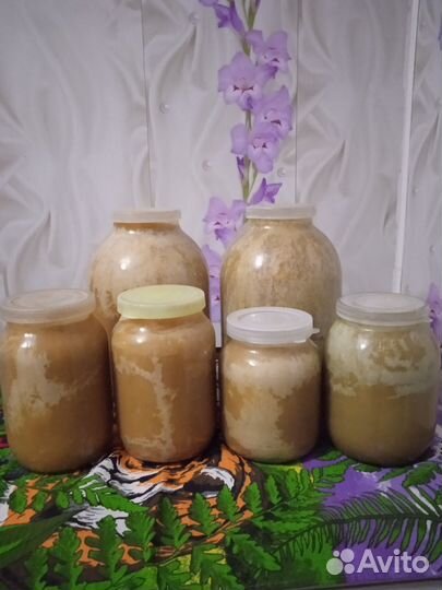 Мед гречишный, мёд липовый 2023