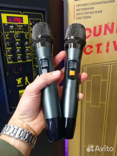 Портативная колонка профессиональная Eltronic 2036