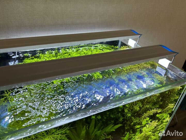Аквариум 70л 50*35*40