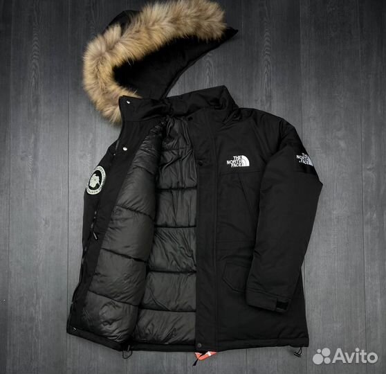 Куртка the north face с капюшоном