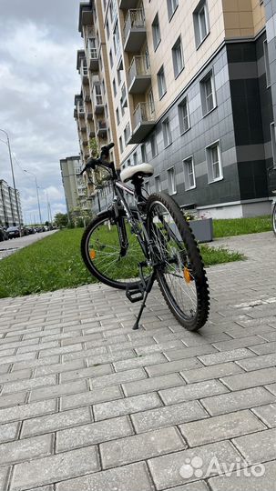 Велоспид Stern Dynamic 2.0