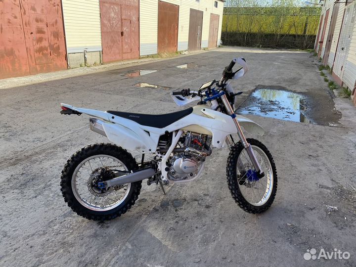 Avantis FX250 LUX