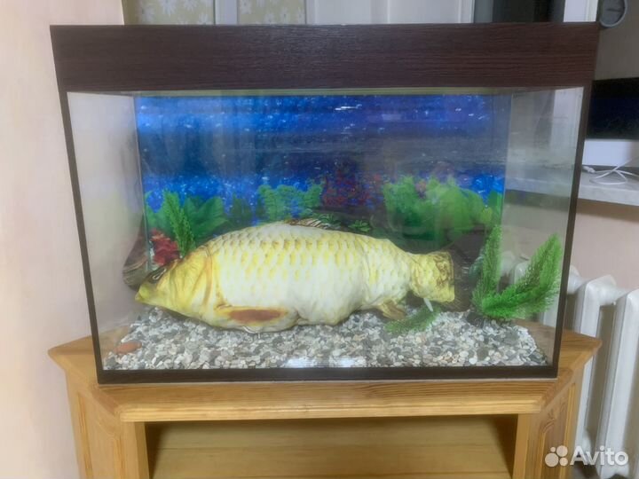Аквариум