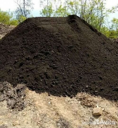 Чернозём торф