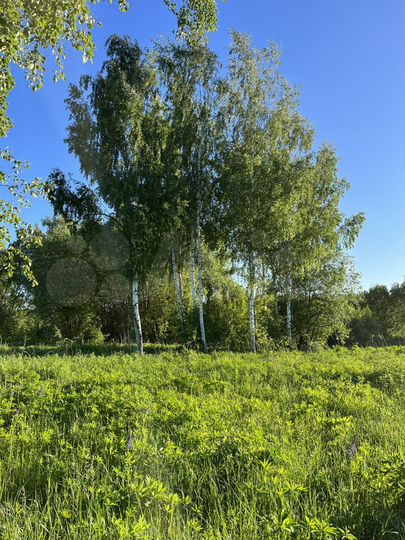 Участок 20 сот. (ИЖС)