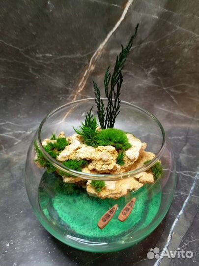 Флорариум (Моссариум) мини