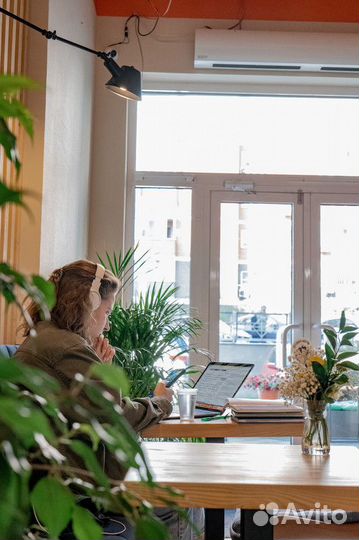 Франшиза Do.Bro