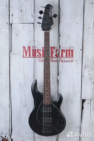 Бас-гитара Sterling by Music Man StingRay35 HH 5 S