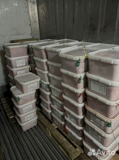 Красная икра оптом