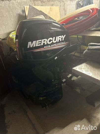 Mercury f25 efi