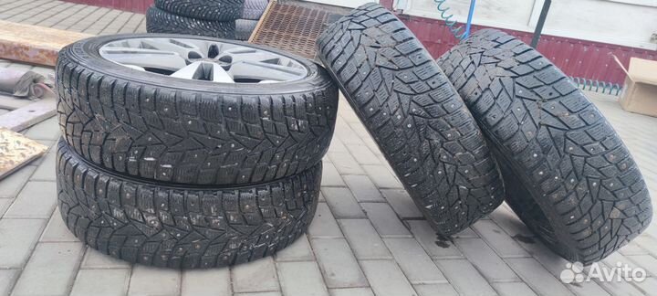 Dunlop Winter Maxx 205/50 R17 93T