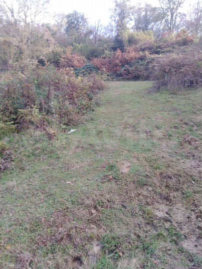 Участок 5 сот. (СНТ, ДНП)