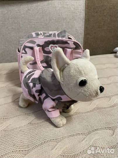 Собачка чичилав оригинал