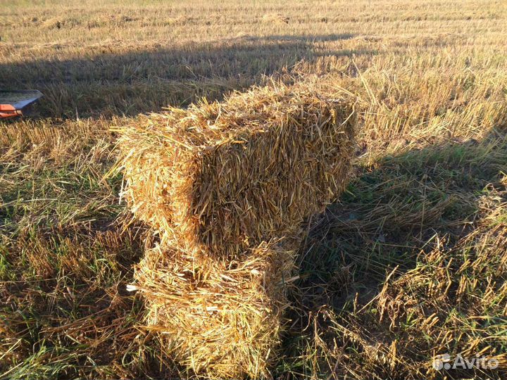 Солома в тюках