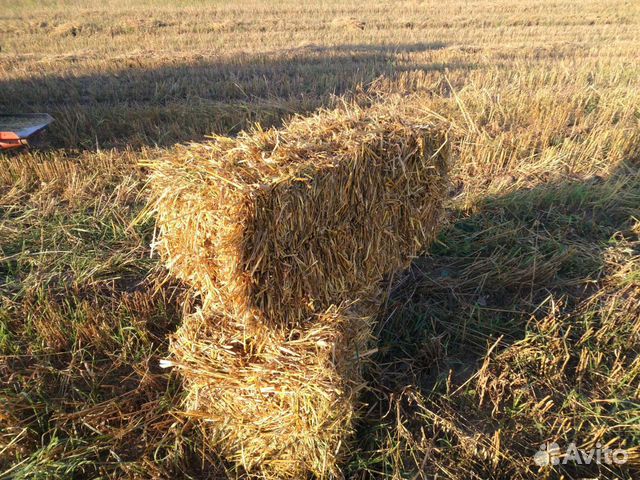 Солома в тюках