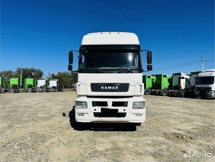 КамАЗ 5490 NEO, 2018