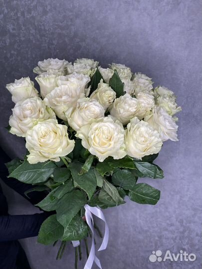 Крупная эквадорская роза цветы