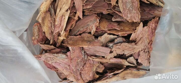 Кора сибирской лиственницы