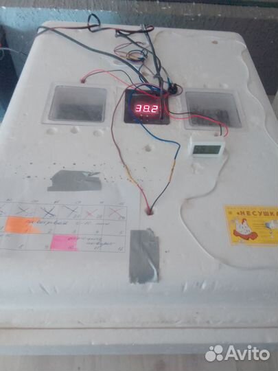 Инкубатор автоматический