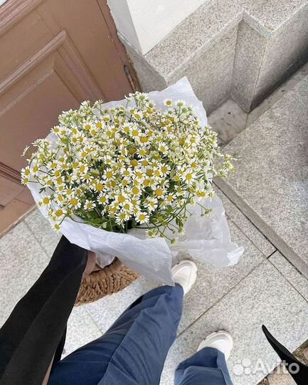 Ромашки Пионы Розы Доставка