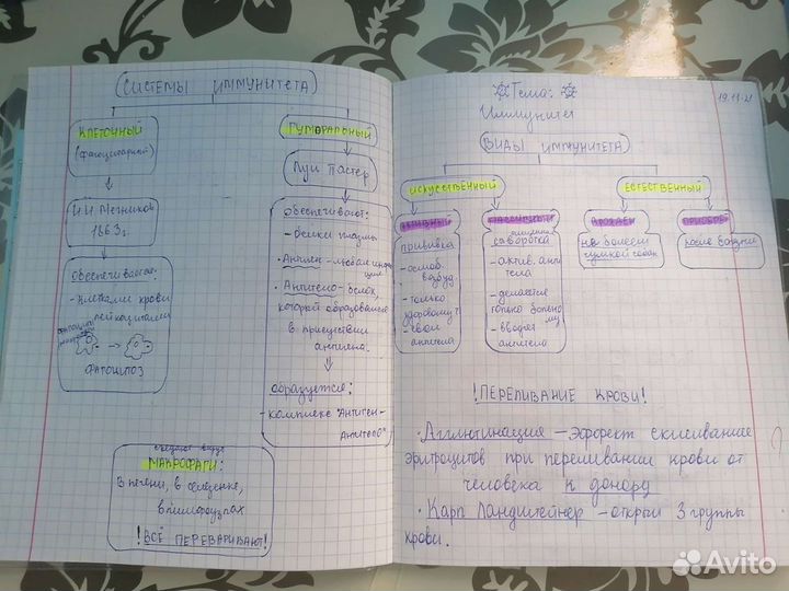 Написание сочинений/конспектов/дз