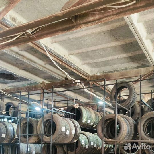 Pirelli Winter Carving Edge 195/65 R15 91T