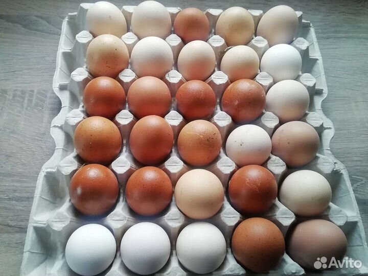 Яйцо куриное, перепелиное из деревни, мясо кур