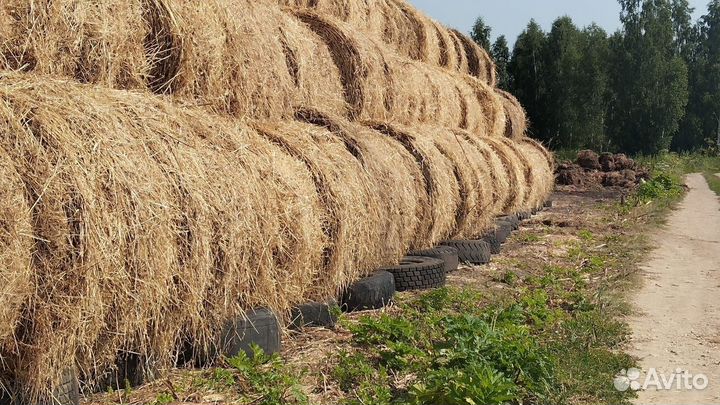 Сено вика овёс.60/40