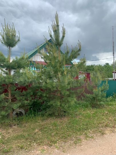 Дом 65 м² на участке 24 сот.