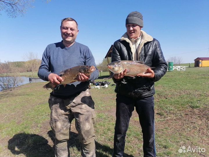 Платная Рыбалка