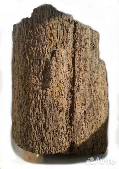 Окаменелое дерево для наружн. или внутр. инсталл