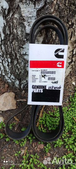 Ремень генератора для двигателя Cummins