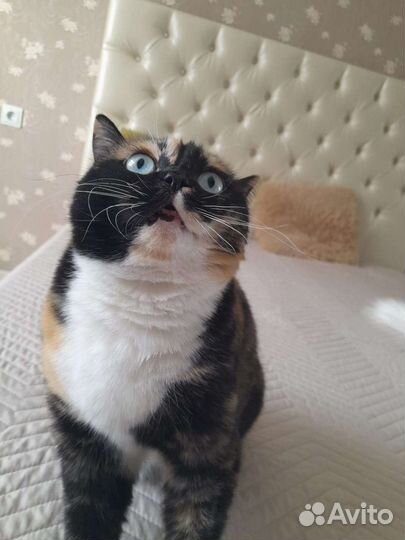 Деловые услуги