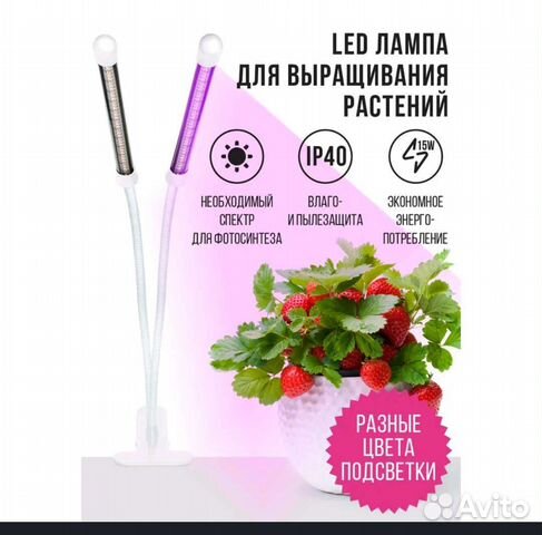 Фитолампа для растений купить в Новосибирске | Товары для дома и дачи ...