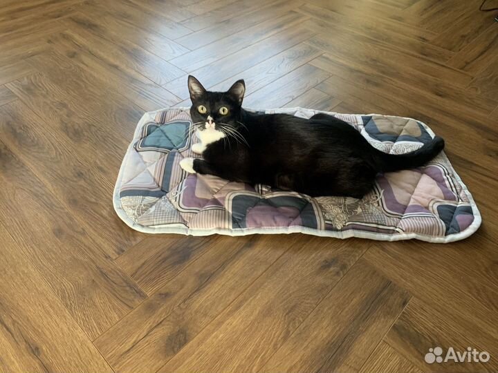 Лежанка для домашних животных,собак, кошек