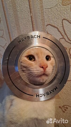 Диск для mercedes майбах