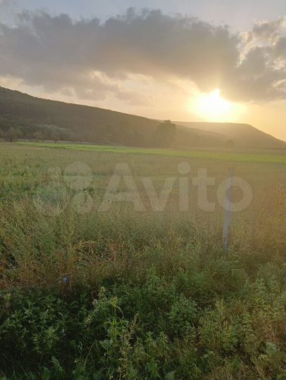 Участок 42 сот. (СНТ, ДНП)