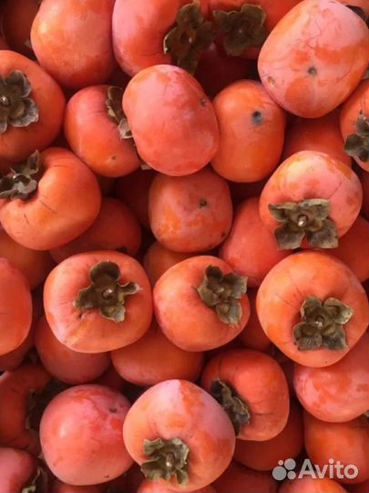 Хурма помидорный сорт