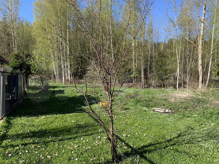 Участок 8 сот. (СНТ, ДНП)