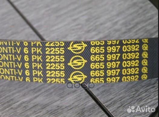 6659970392 ssang yong Ремень приводной