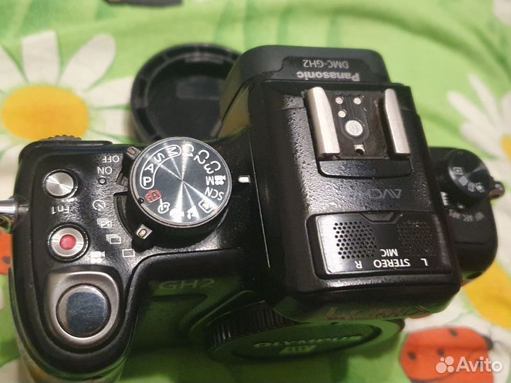 Panasonic lumix GH-2, body