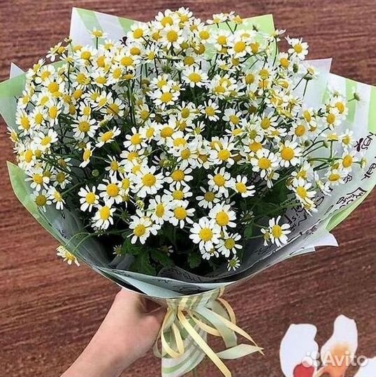Букеты. Доставка ромашек