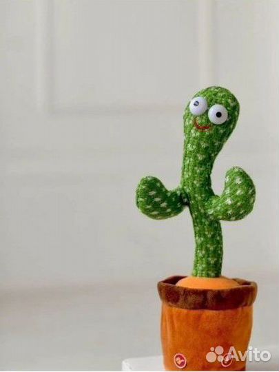 Танцующий кактус