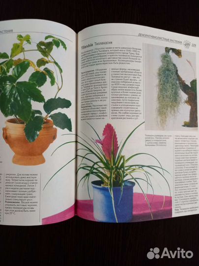 Книги о растениях