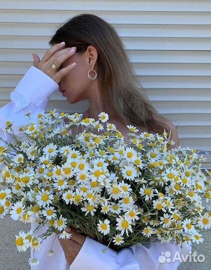 Ромашки букет