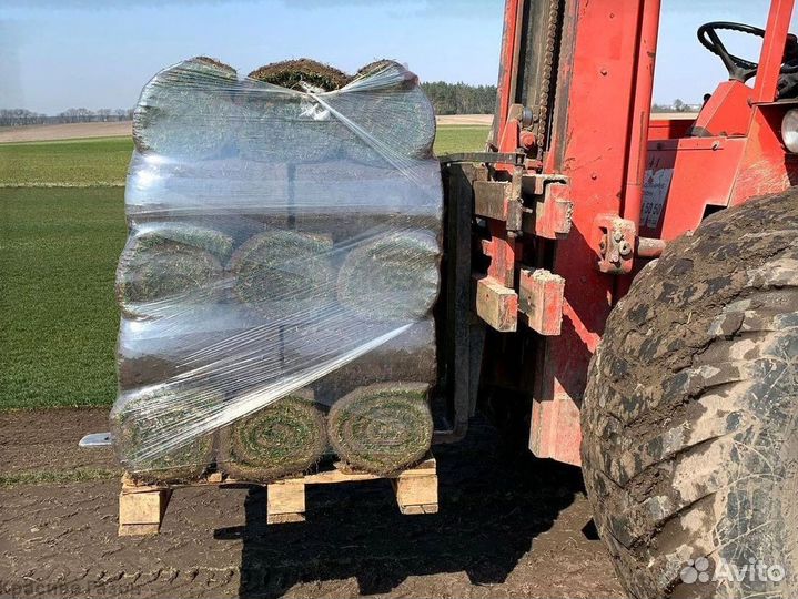 Газон от производителя