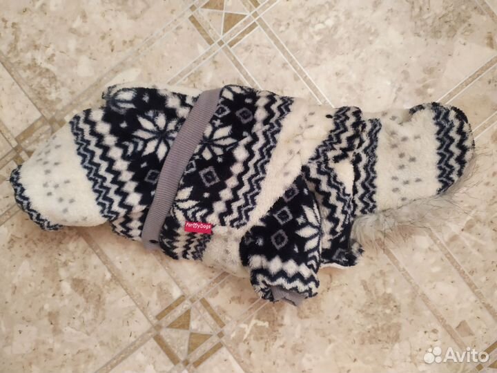 Одежда для собак мелких пород