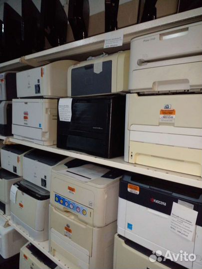 Принтер нр 401dn Гарантия