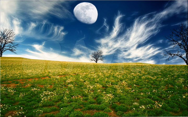 Участок 14 сот. (ИЖС)