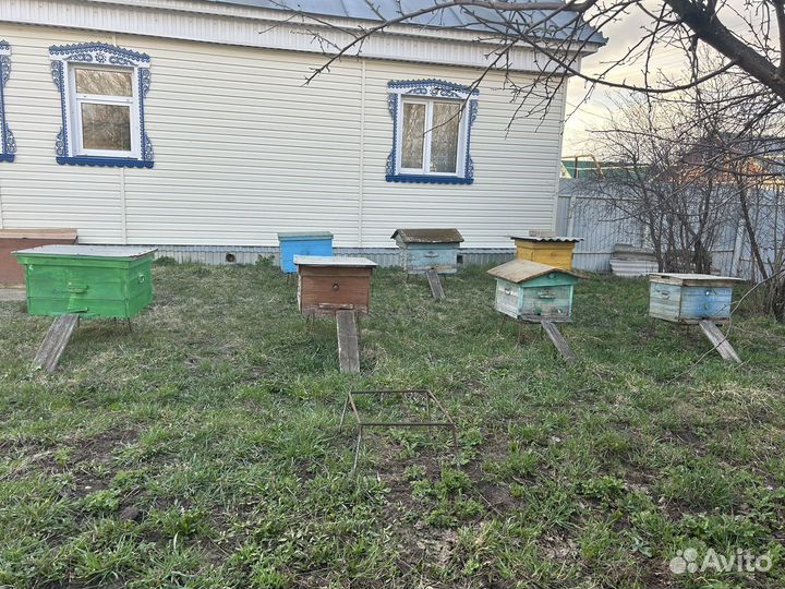 Улей с пчелами